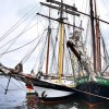 BinPartyGeil.de Fotos - 26. Hanse Sail Rostock 2016 am 13.08.2016 in DE-Rostock